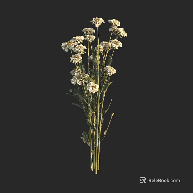 White Daisy Flowers In Vase With Green Stems And Leaves For Home Decor 3d model 