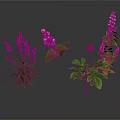 Various Green Plants with Purple White and Red Flowers and Fresh Leaves