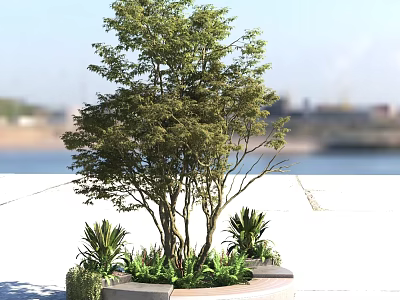 Lush Green Arbor With Multiple Trunks And Small Plants In Circular Planter By Waterfront 3d model