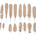 Various Light Brown Feathers In Different Shapes Sizes And Styles Collection 3d model