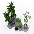 Green Leafy Bonsai and Potted Plants with Gray Ceramic Pots on Stone Stand