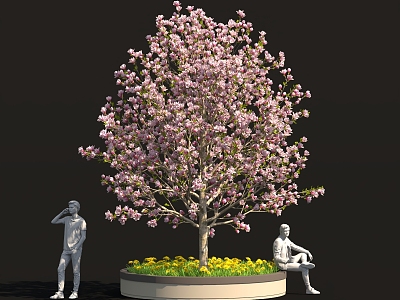 Cartoon style magnolia tree flower bed tree pool street tree garden courtyard sketch model