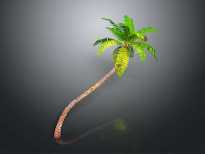 Tall Curved Palm Tree With Green Leaves And Brown Trunk On Gray Background 3d model
