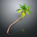Tall Curved Palm Tree With Green Leaves And Brown Trunk On Gray Background