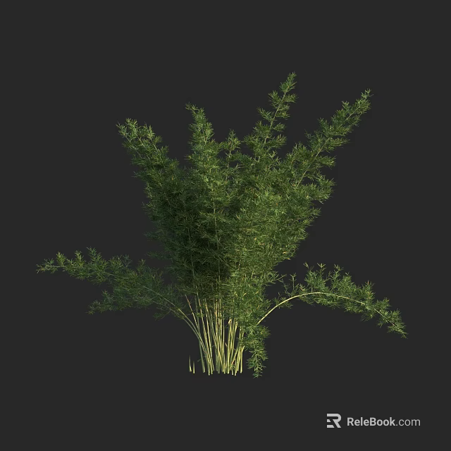 Vibrant Green Bamboo Plant With Dense Foliage And Tall Stems 3d model 