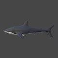 3D Metallic Shark Model With Sleek Surface And Modern Design Features