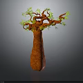 Baobab Tree With Thick Brown Trunk And Green Leafy Branches On Gray Background