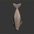 Manatee Beautiful Manatee Sea Animal Fish Freshwater Fish Sea Fish Animal Game Animal Cartoon Animal 3d model