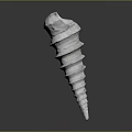 Conch Marine Animal With Spiral White Shell And Detailed Texture Isolated On Dark Background