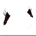 Detailed Organ And Hair Structures With Red Dark Textured Surfaces And Elongated Filament Appendages