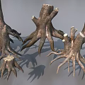 Natural Plant Combination Featuring Multiple Tree Stumps And Exposed Roots 3d model