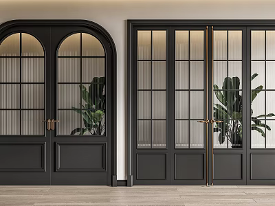 Modern Black Double Doors With Glass Panels And Green Plants Indoor Design 3d model