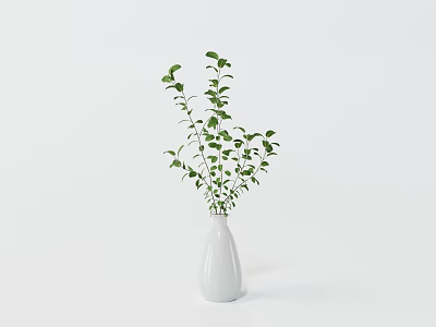 White Ceramic Vase With Green Fresh Leaves On Minimalist White Background 3d model