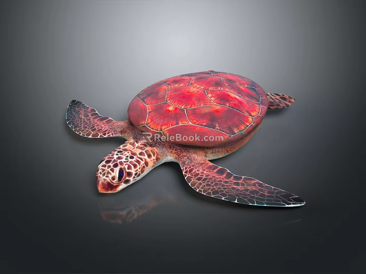Turtle Cartoon Turtle Snapping Turtle Chickbill Turtle Reptile Cold Blooded Animal Reptile Class 3d model