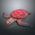 Turtle Cartoon Turtle Snapping Turtle Chickbill Turtle Reptile Cold Blooded Animal Reptile Class 3d model