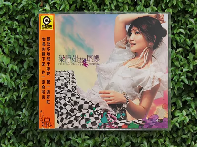 Stylish Home Appliance CD Player With Chen Jieli Butterfly Album Cover Design 3d model