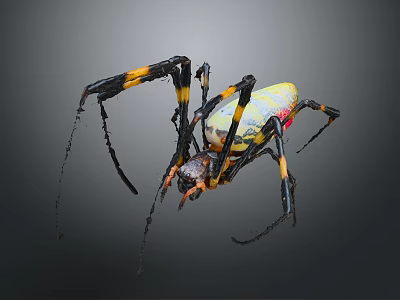 Yellow Black and Red Spider with Black and Yellow Banded Legs and Vibrant Colored Body 3d model