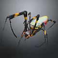 Yellow Black and Red Spider with Black and Yellow Banded Legs and Vibrant Colored Body