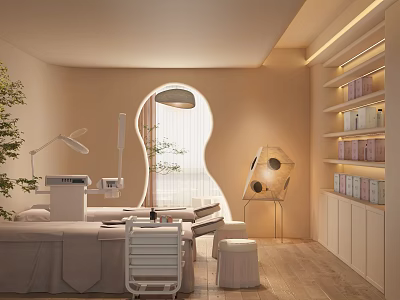 Quiet SPA Beauty Shop Cosmetic Cabinet Massage Bed Beauty Bed 3d model