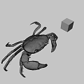 Whole Fresh Seafood Crab With Colorful Rubik's Cube On Gray Surface