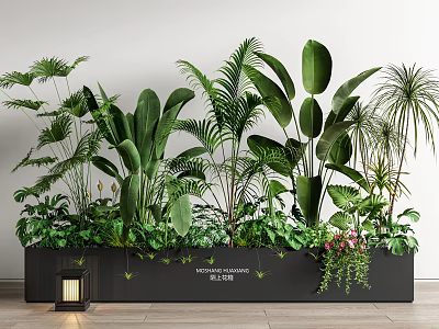 Indoor Bonsai Potted Plants with Various Green Leaves in Black Long Planter 3d model