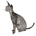 Modern cat living room decoration toy cat 3d model