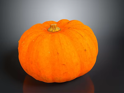 Vibrant Orange Ripe Whole Pumpkin with Smooth Surface on Dark Background 3d model