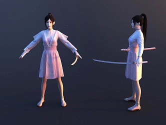 Man Female Martial Arts Woman Female Character Ancient Woman 3d model