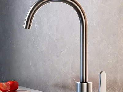 Stainless Steel Kitchen Faucet With Gray Wall Background And Fresh Tomato 3d model
