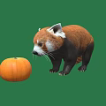 Modern red panda red panda meerkat thin-tailed monkat 3d model