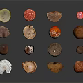 Colorful Various Fresh Mushroom Vegetables With Different Types And Bright Colors