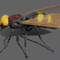 Vibrant Reptile Lizard With Yellow Head And Black Scaled Body Details