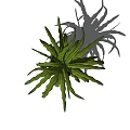 Bonsai Potted Plant With Long Slender Green Leaves In Gray Ceramic Pot