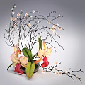 Bonsai Potted Plant Featuring Yellow Pink Orchids Red Flowers Green Leaves And Slender Black Branches