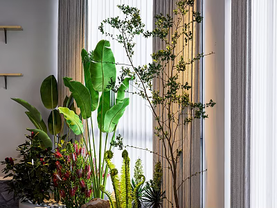 Indoor Greenery Wall With Different Plants By Windows 3d model