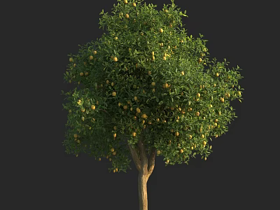 Lush Arbor With Green Leaves Abundant Yellow Fruits And Sturdy Brown Trunk 3d model