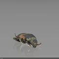 Detailed Black and Brown Patterned Beetle With Exoskeleton on Dark Background 3d model