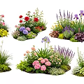 Colorful Mixed Plant Combinations With Roses Lavender And Hydrangeas In Garden
