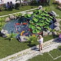Outdoor Aquatic Pond with Koi Fish Lily Pads Rocks Green Plants and People Watching