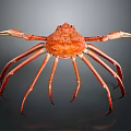 Giant Red Crab With Long Spiny Legs And Textured Shell On Dark Background