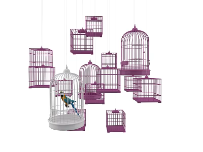 Decorative Ornament Set with Purple and White Birdcages Including One with Colorful Bird 3d model