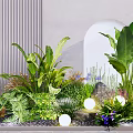 Lush Green Plants And Purple Flowers With Large Leaves Round Lights And Stone Decorations