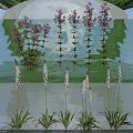 Purple Herbaceous Flower Clusters And Tall White Flowering Plants For Decoration