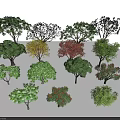 Various Arbor Trees 3D Models with Different Colored and Differently Shaped Leaves on White Background 3d model