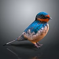 Vibrant Blue and Orange Swallow Standing on Black Reflective Surface with Gray Gradient Background 3d model