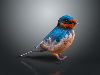 Modern Birds 3d model