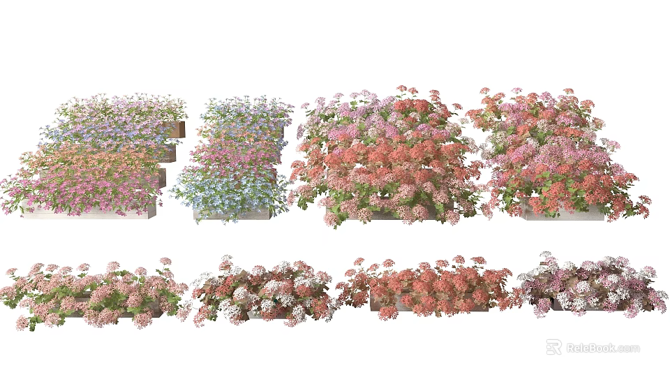 Vibrant Colorful Potted Flowers With Assorted Blooms And Fresh Green Leaves 3d model 