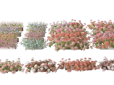 Vibrant Colorful Potted Flowers With Assorted Blooms And Fresh Green Leaves 3d model
