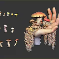 Colorful Edible Mushrooms Arranged On Hand Shaped Object With Decorative Particles