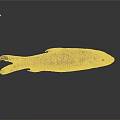 Striped Brown Yellow Fish With Large Eye And Reflection On Dark Surface